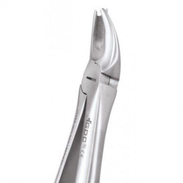 [CLEARANCE SALE] GDC Extraction Forcep Upper Molars Left Cowhorn #FX90S