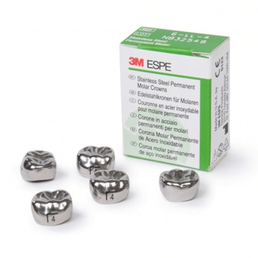 3M Stainless Steel Permanent Molar Crown