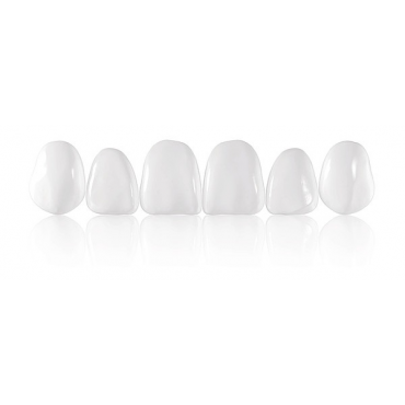 Coltene Componeer® Brilliant Upper Jaw Refill - 11/12/13/21/22/23 (2pcs)